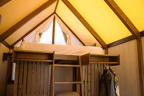 TAIGA Delta de l'Ebre