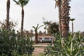 TAIGA Delta de l'Ebre