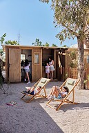 TAIGA Delta de l'Ebre