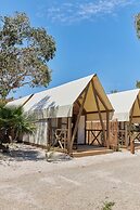 TAIGA Delta de l'Ebre