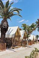 TAIGA Delta de l'Ebre