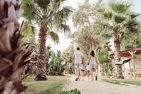 TAIGA Delta de l'Ebre