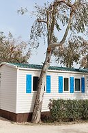 TAIGA Delta de l'Ebre