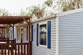 TAIGA Delta de l'Ebre