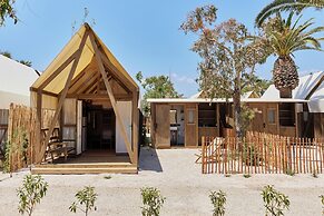 TAIGA Delta de l'Ebre