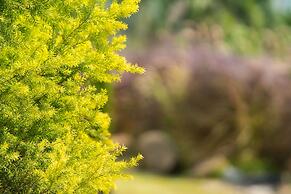 The Natural Garden - Khao Soi Dao -