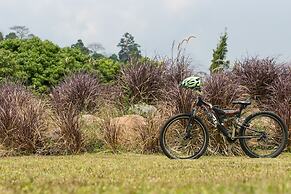 The Natural Garden - Khao Soi Dao -