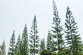 The Natural Garden - Khao Soi Dao -