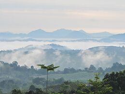 The Natural Garden - Khao Soi Dao -