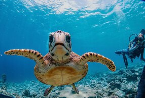 Bliss Dhigurah
