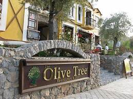 The Olive Tree Studios - Adults Only