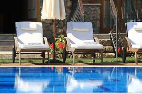 The Olive Tree Studios - Adults Only