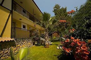 The Olive Tree Studios - Adults Only