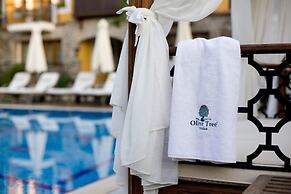 The Olive Tree Studios - Adults Only