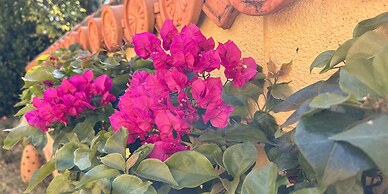 Pension Sunset Beach