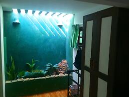 Weligama Bay Eco Villa