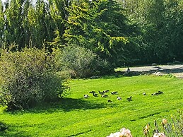 Cabañas Normana Inn