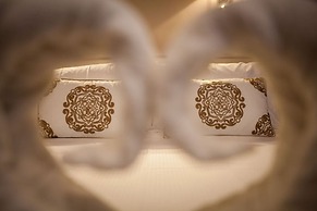 Hostal Boutique Plaza Cantarero