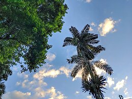 Pousada Canto do Curió