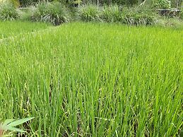 Baansongkhata