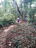 Philo Leisure Gardens