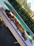 Mistinthegumtrees Eco Luxury Cabins