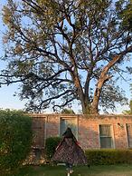 The Tree of Life Resort & Spa, Varanasi