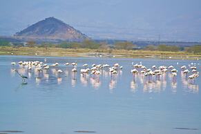 Sirville Lake Elementaita Lodge