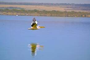 Sirville Lake Elementaita Lodge