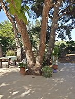 Baglio il Giovinetto