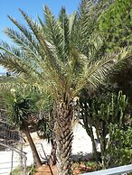 Baglio il Giovinetto