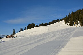 Alpine Premium Chalet Wallegg-Lodge