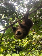 Dolphin Bay Hideaway