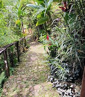 Dolphin Bay Hideaway