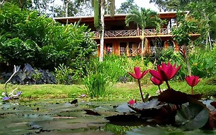 Dolphin Bay Hideaway