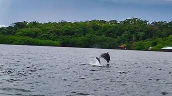 Dolphin Bay Hideaway