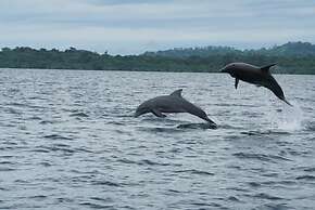 Dolphin Bay Hideaway