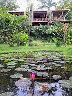 Dolphin Bay Hideaway