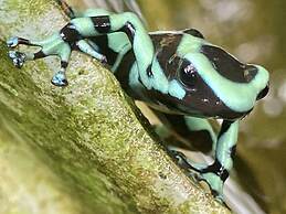 Dolphin Bay Hideaway