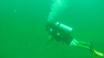 Dolphin Bay Hideaway