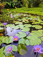 Dolphin Bay Hideaway