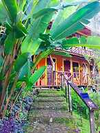 Dolphin Bay Hideaway