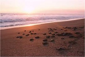 Isla Parlama Boutique Hotel