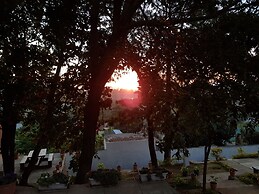 Chinyonga Guesthouse