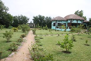 Korkoe
