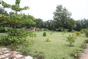 Korkoe