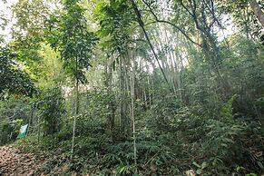 Khao Hin Tang Resort