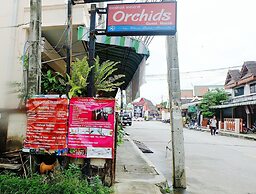Orchid House