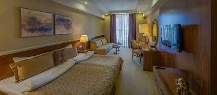 Volga Premium Hotel