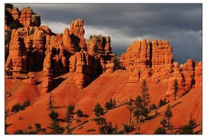 Sevier River Ranch & Cattle Company